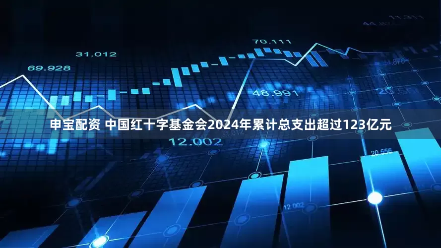 申宝配资 中国红十字基金会2024年累计总支出超过123亿元